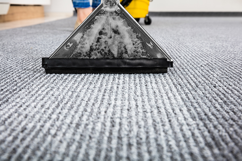 Carpet Cleaning Near Me in Hove East Sussex